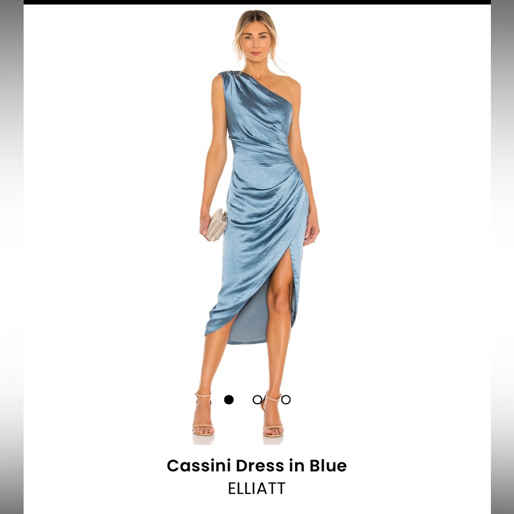 Silk Revolve Dress